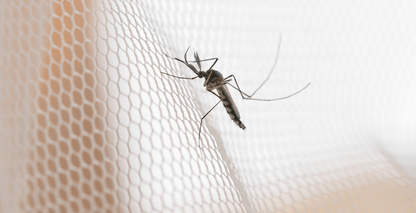 Anti-Malaria Tablets: Which One Should You Take?