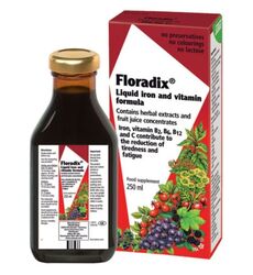 Floradix Liquid Iron Formula